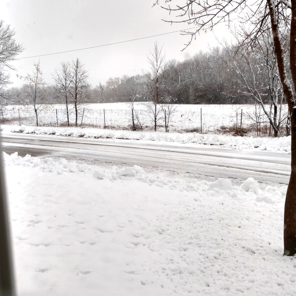 Meet your Posher, Michael - Picture 1 of 1